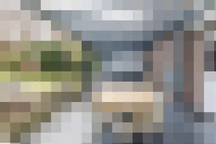 Altaarstraat 91 Schinnen thumbnail 32