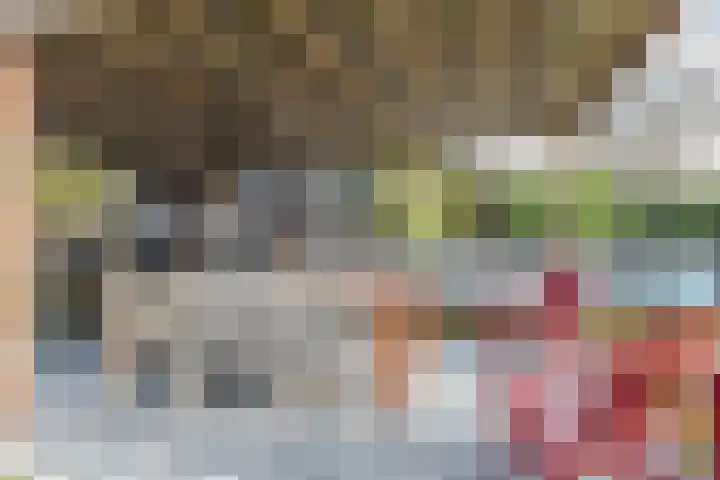 Altaarstraat 91 Schinnen thumbnail 34