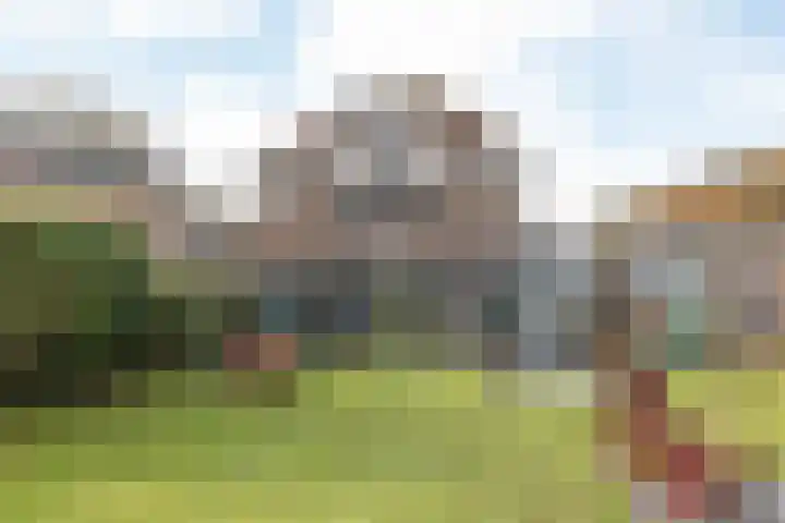 Altaarstraat 91 Schinnen thumbnail 38