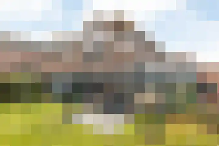 Altaarstraat 91 Schinnen thumbnail 39