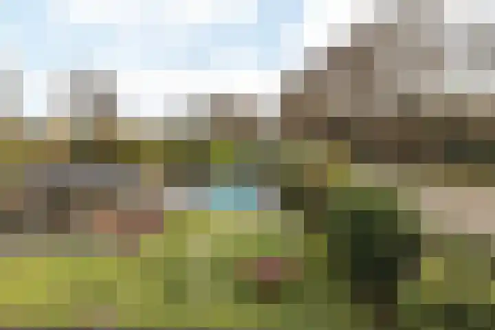 Altaarstraat 91 Schinnen thumbnail 4