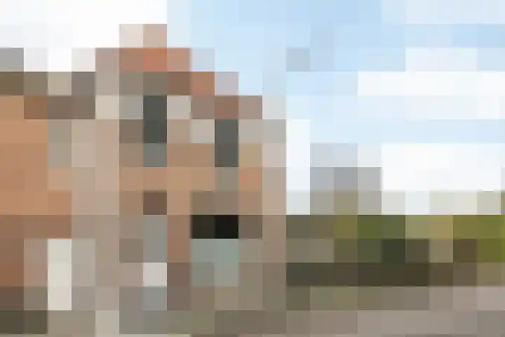 Altaarstraat 91 Schinnen thumbnail 44