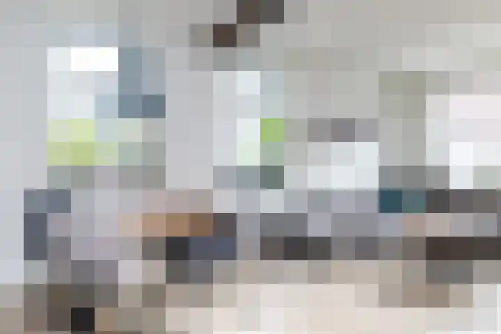 Altaarstraat 91 Schinnen thumbnail 8