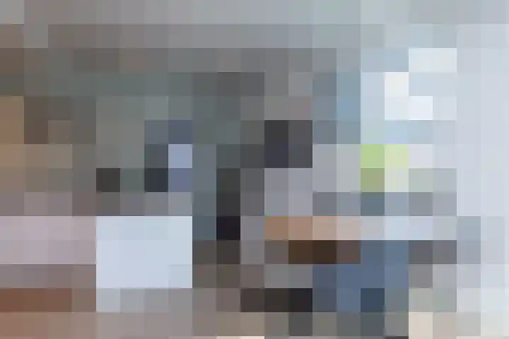Altaarstraat 91 Schinnen thumbnail 9