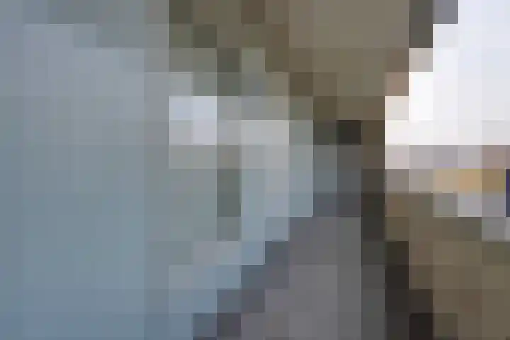 Altair 12 Purmerend thumbnail 14