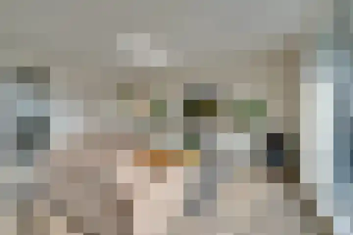 Altair 12 Purmerend thumbnail 23
