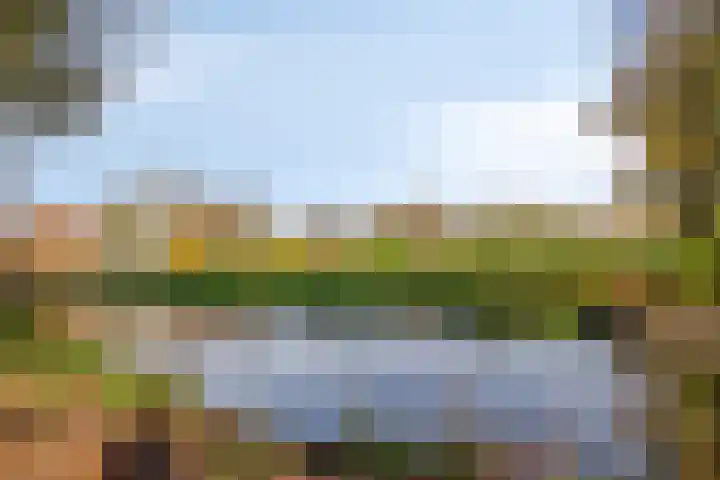 Altair 12 Purmerend thumbnail 26