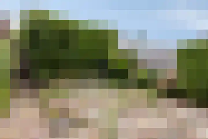 Altair 12 Purmerend thumbnail 29