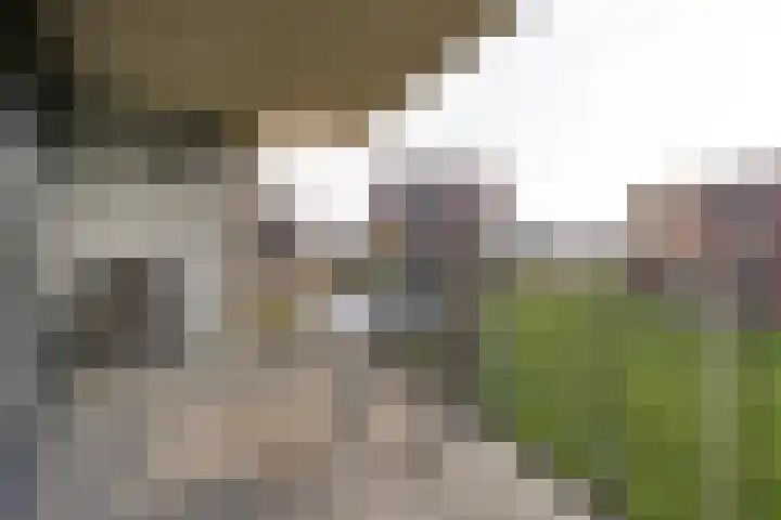 Altair 12 Purmerend thumbnail 30