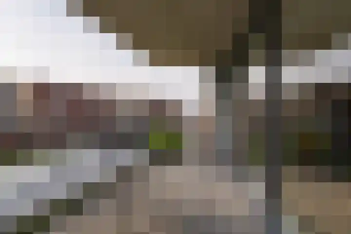 Altair 12 Purmerend thumbnail 31