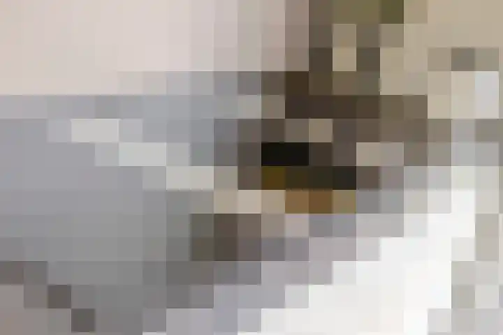 Altair 3 Purmerend thumbnail 20