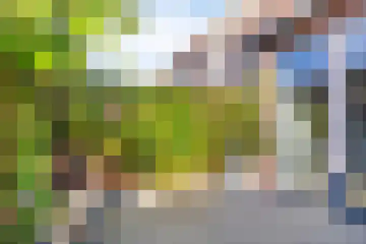 Altair 3 Purmerend thumbnail 35