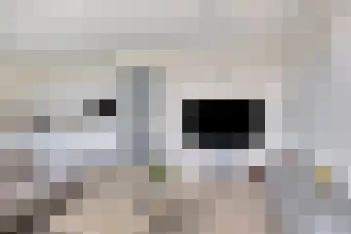 Altair 30 Purmerend thumbnail 17