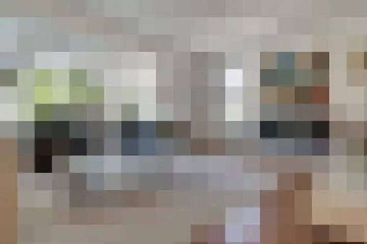 Altbroek 1 Zevenaar thumbnail 16