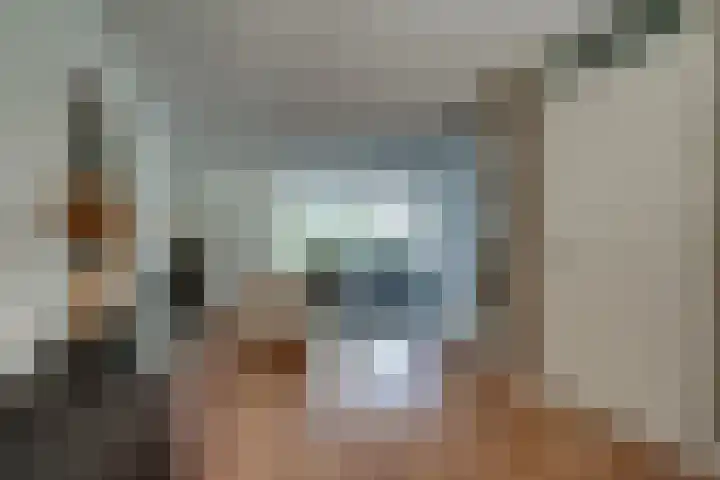 Altbroek 1 Zevenaar thumbnail 18