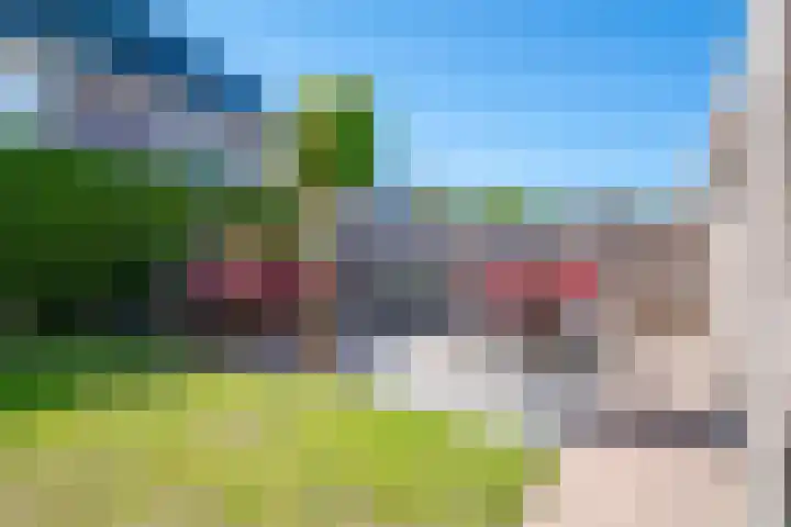 Altbroek 1 Zevenaar thumbnail 30