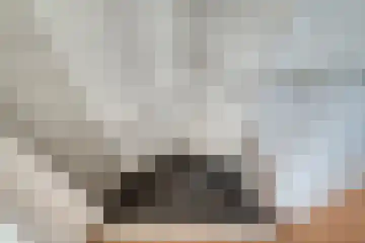 Altbroek 1 Zevenaar thumbnail 36