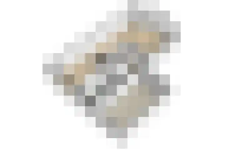 Altbroek 1 Zevenaar thumbnail 60