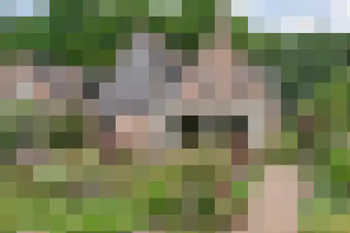 Alte Picardiëkanaal 12 Coevorden thumbnail 56
