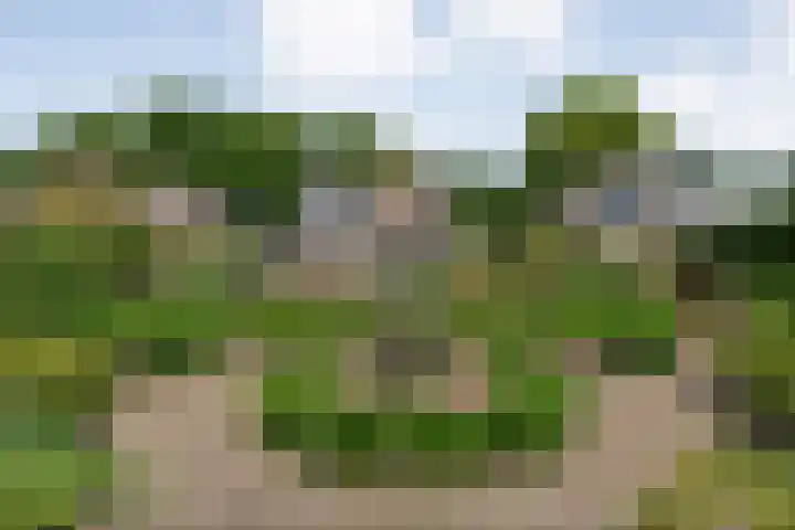 Alte Picardiëkanaal 12 Coevorden thumbnail 59