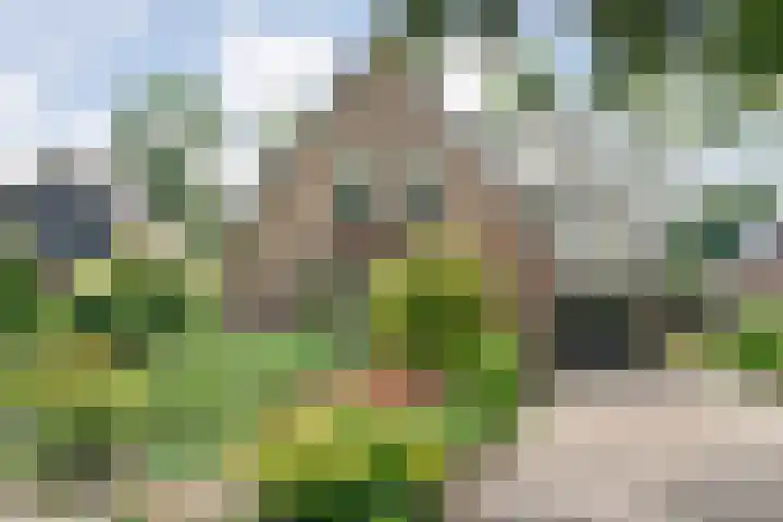 Alte Picardiëkanaal 12 Coevorden thumbnail 6