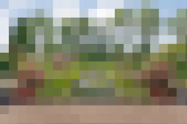 Alte Picardiëkanaal 12 Coevorden thumbnail 60