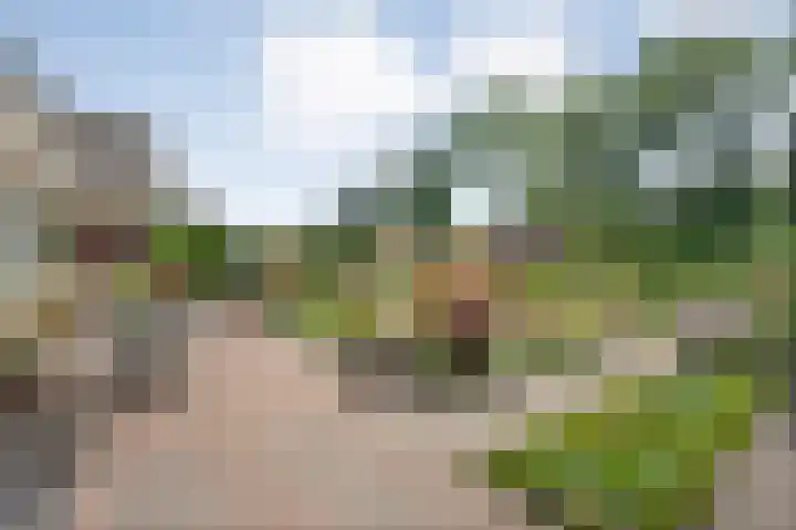 Alte Picardiëkanaal 12 Coevorden thumbnail 61