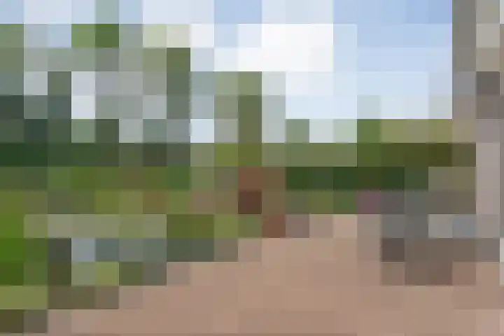 Alte Picardiëkanaal 12 Coevorden thumbnail 62