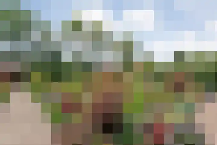 Alte Picardiëkanaal 12 Coevorden thumbnail 64