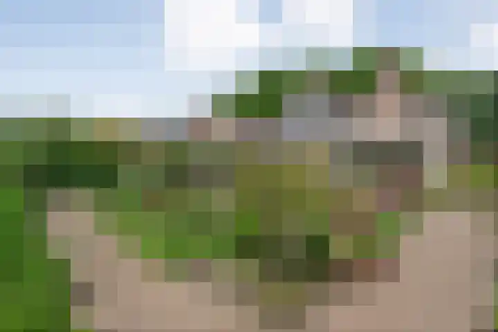 Alte Picardiëkanaal 12 Coevorden thumbnail 65
