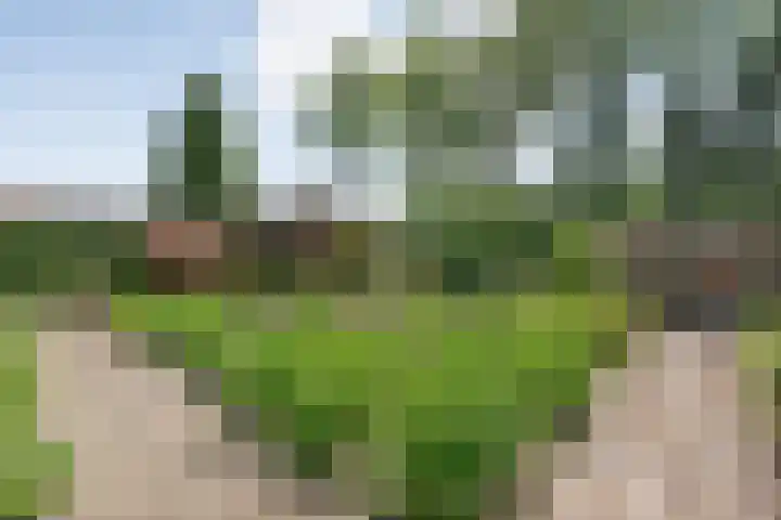 Alte Picardiëkanaal 12 Coevorden thumbnail 66