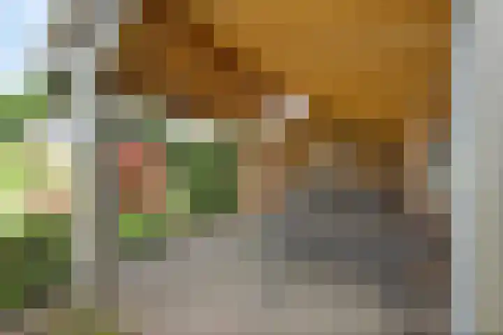 Alte Picardiëkanaal 12 Coevorden thumbnail 67