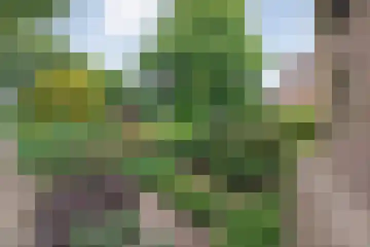 Alte Picardiëkanaal 12 Coevorden thumbnail 73