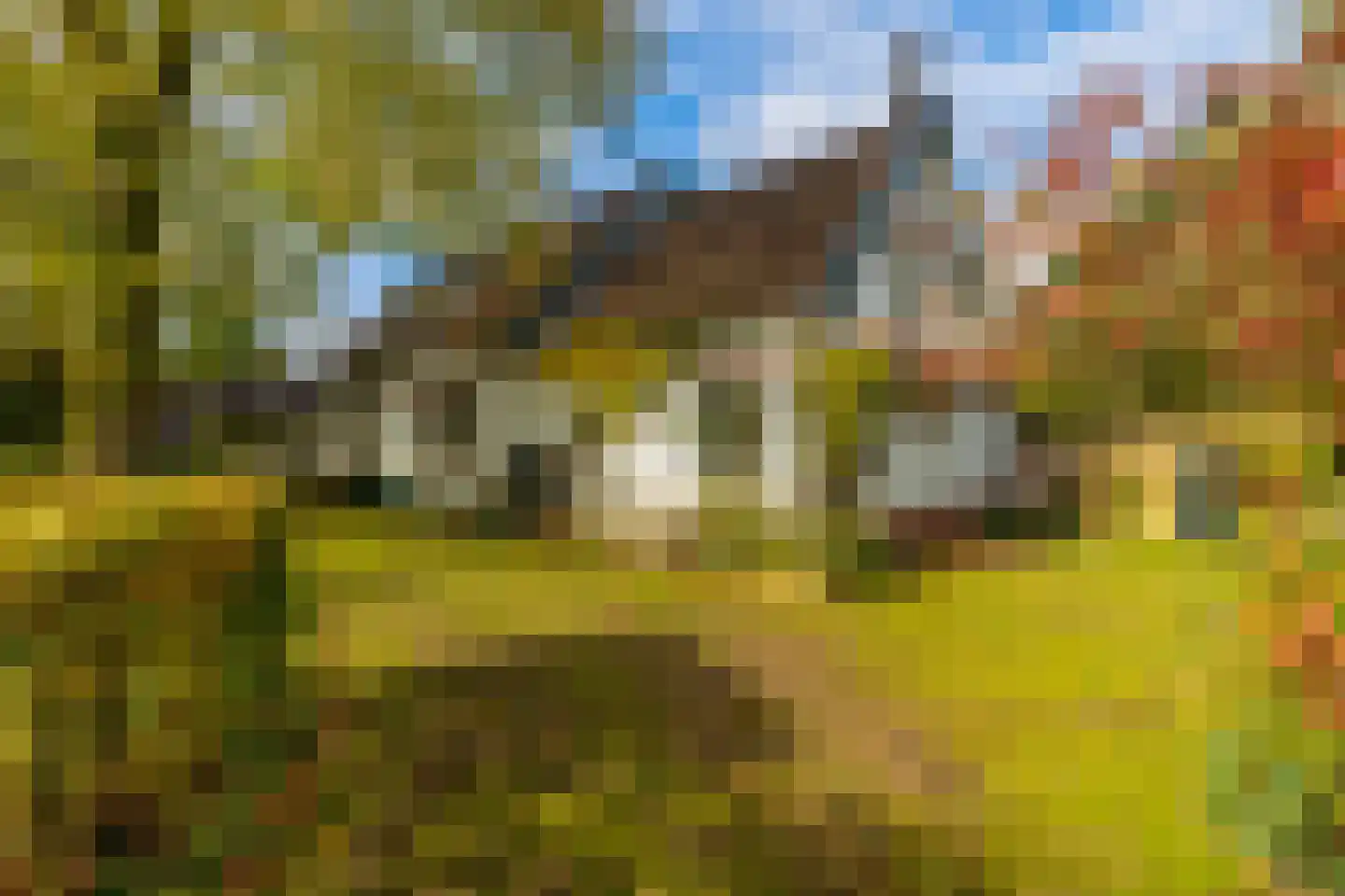 Altena 1 Maarsbergen