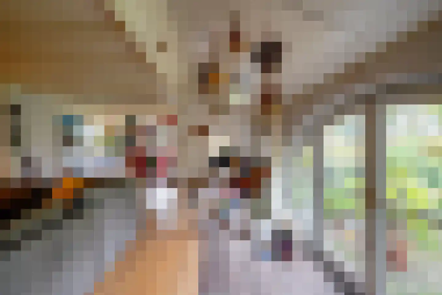 Altena 1 Maarsbergen thumbnail 17