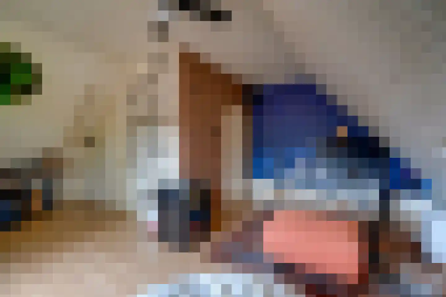 Altena 1 Maarsbergen thumbnail 25