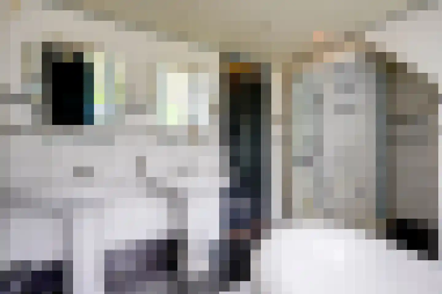 Altena 1 Maarsbergen thumbnail 30