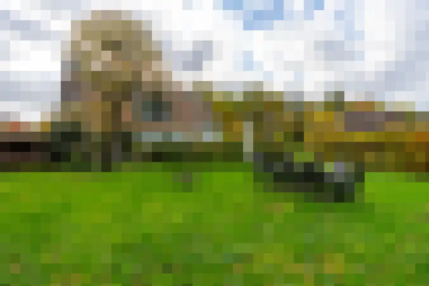Altena 1 Maarsbergen thumbnail 32