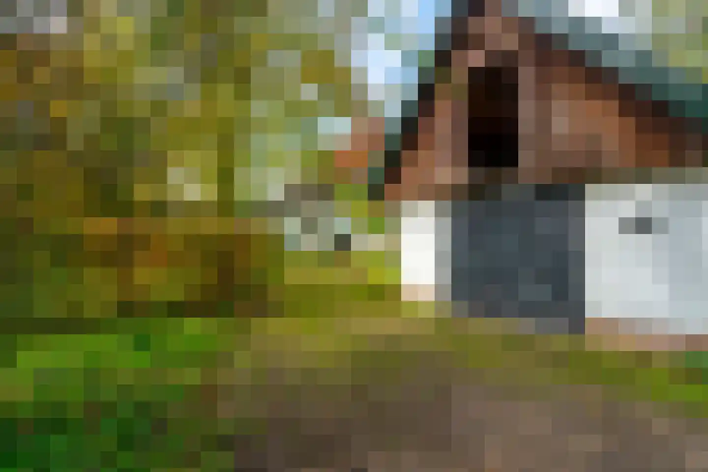 Altena 1 Maarsbergen thumbnail 33
