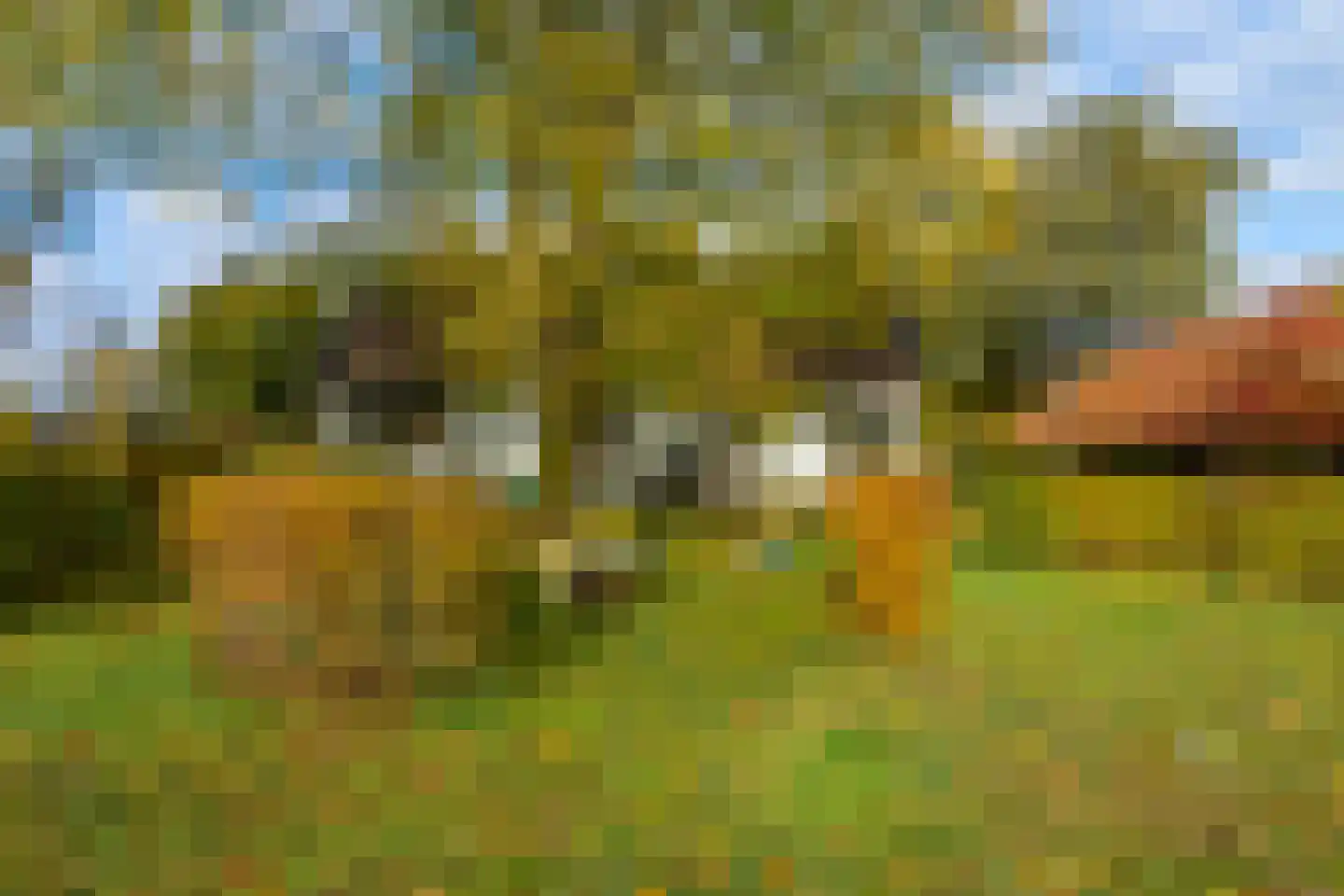 Altena 1 Maarsbergen thumbnail 34
