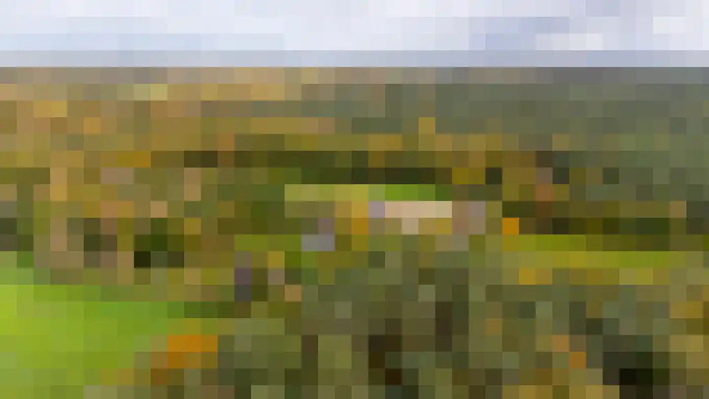 Altena 1 Maarsbergen thumbnail 36