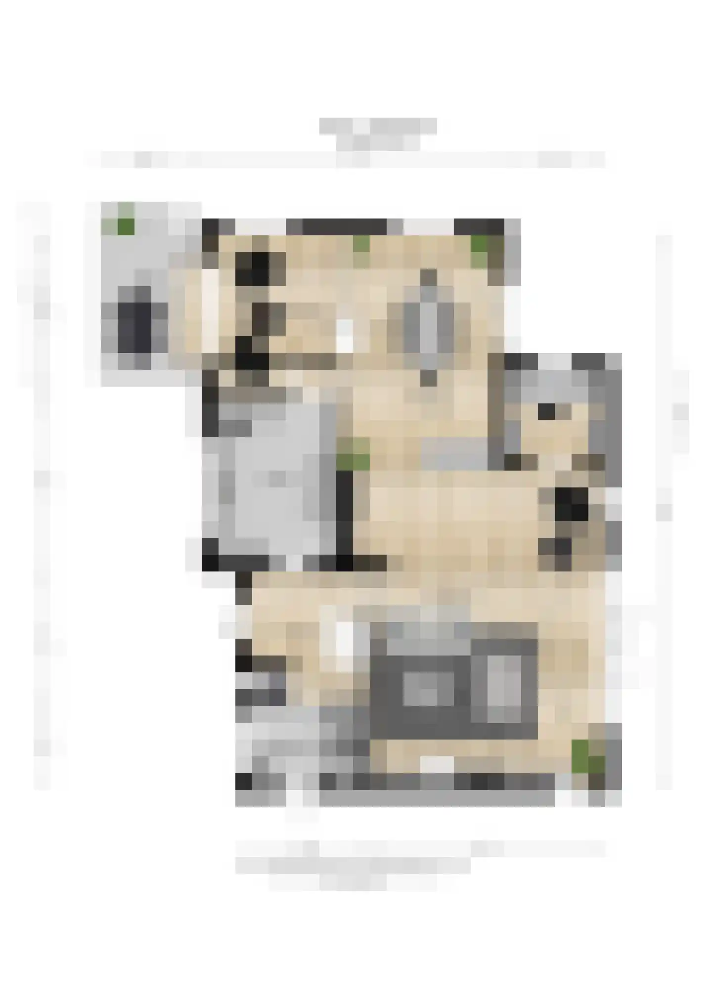 Altena 1 Maarsbergen thumbnail 38