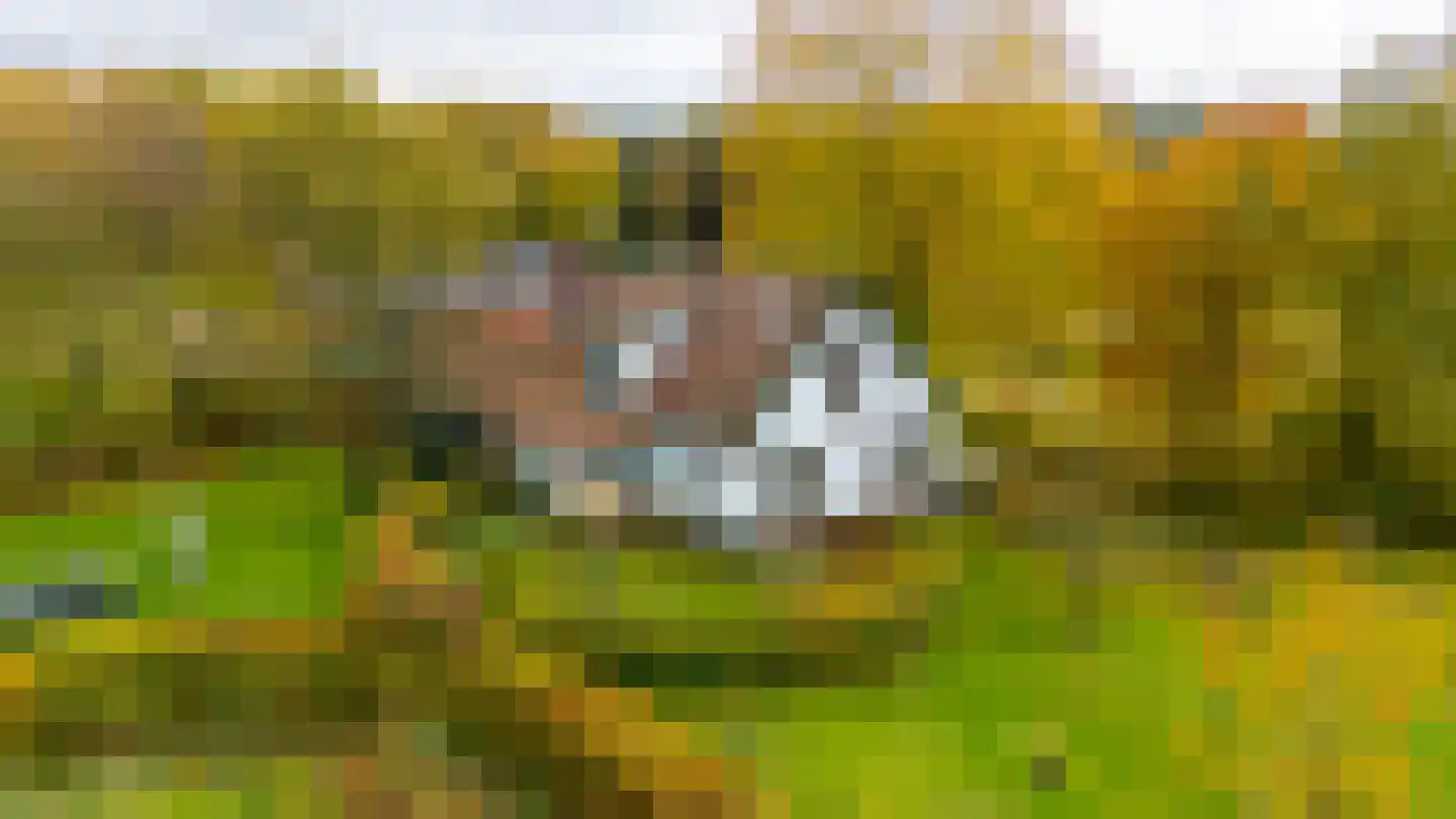 Altena 1 Maarsbergen thumbnail 4