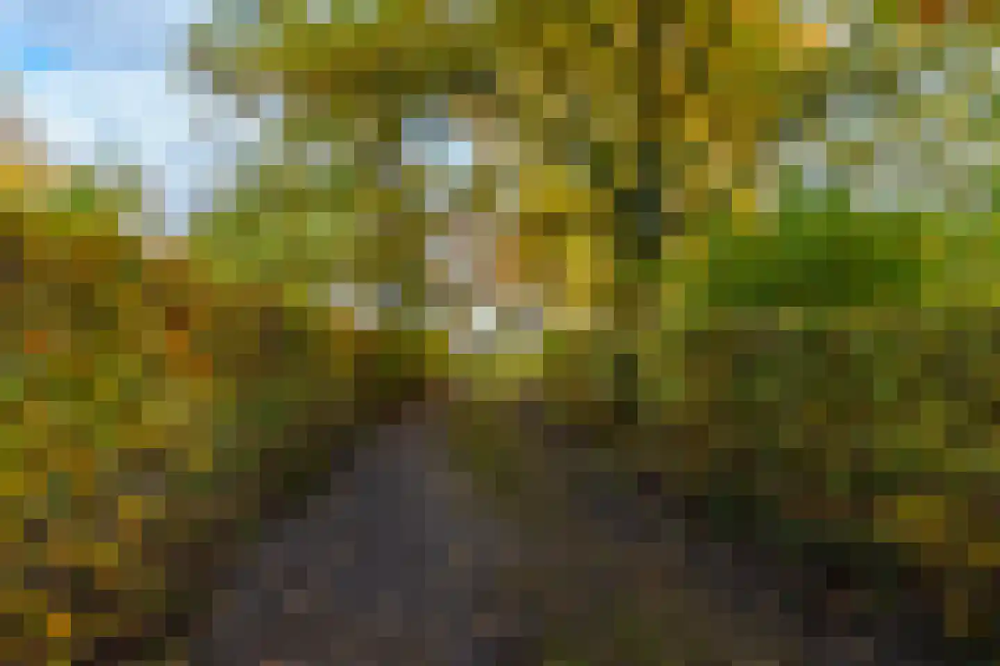 Altena 1 Maarsbergen thumbnail 5