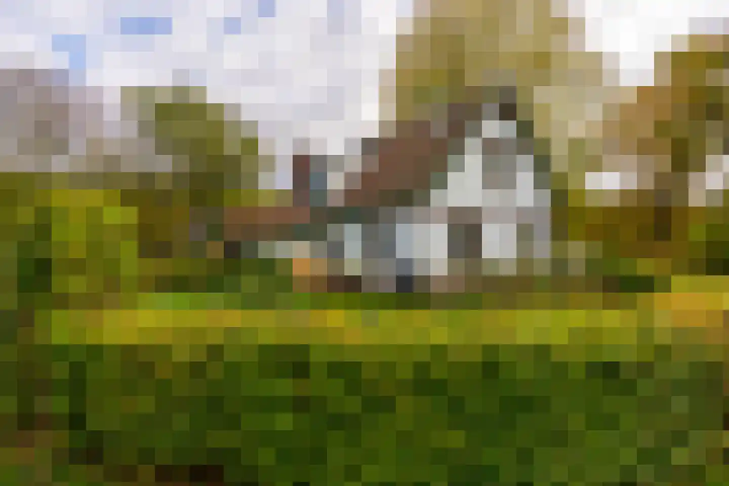 Altena 1 Maarsbergen thumbnail 6