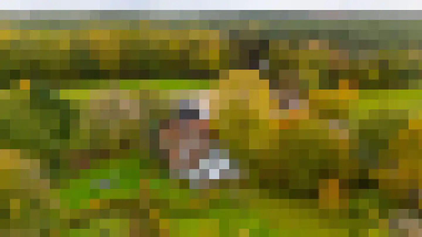 Altena 1 Maarsbergen thumbnail 7