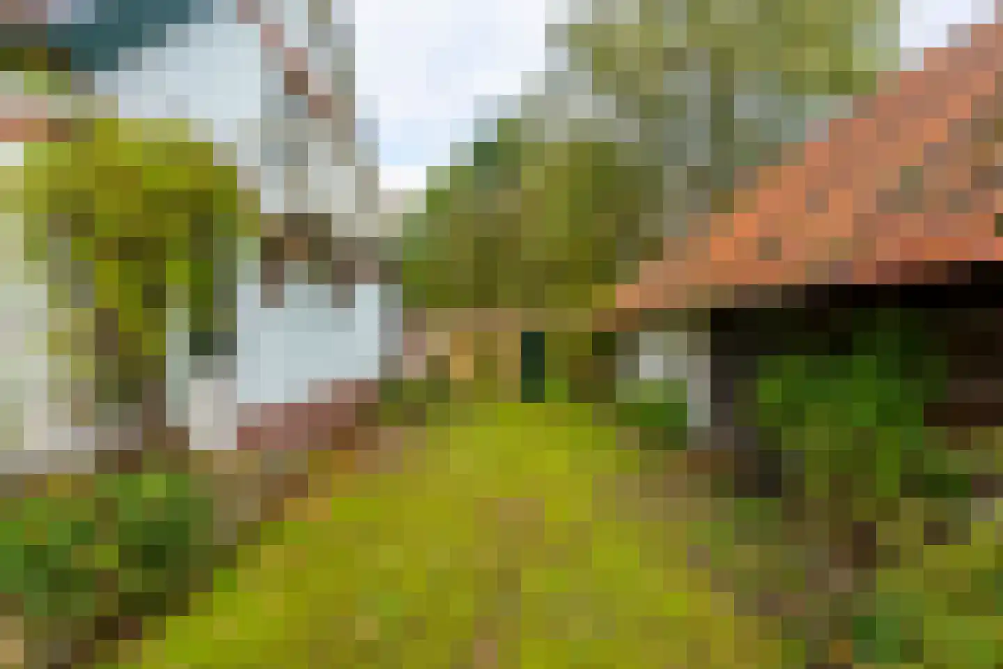 Altena 1 Maarsbergen thumbnail 8