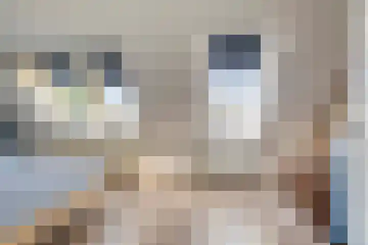 Altena 14 Goedereede thumbnail 12