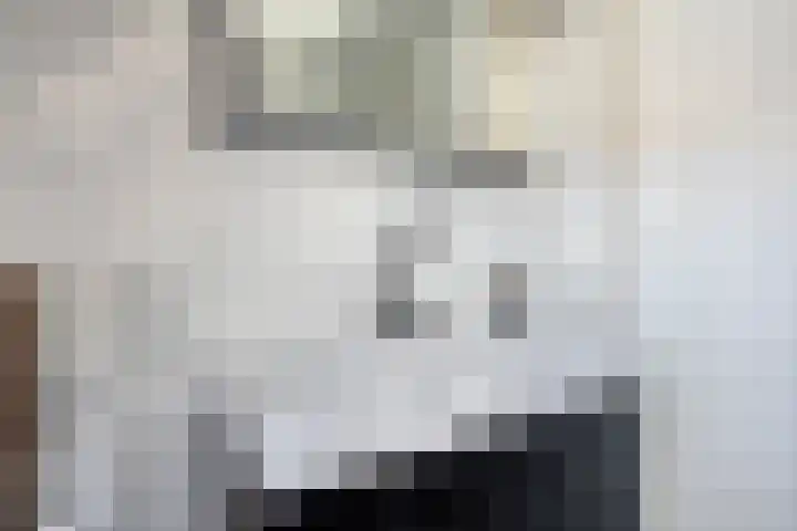 Altena 14 Goedereede thumbnail 17
