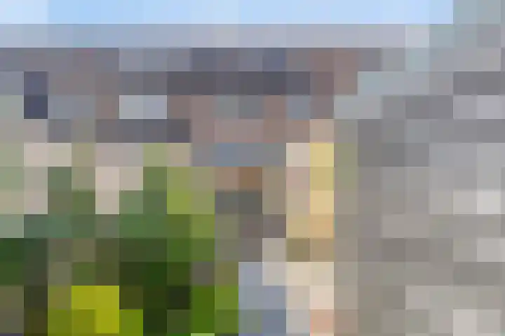 Altena 14 Goedereede thumbnail 24
